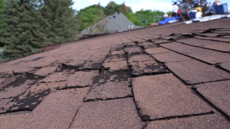 Roof Insulation in Graham, WA